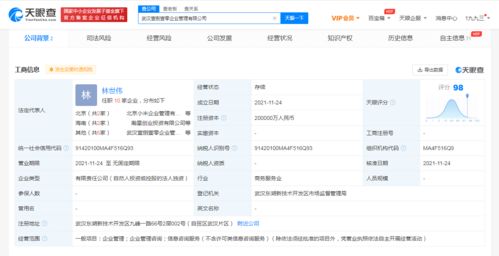 注冊資本20億元！小米在武漢成立企業管理公司，赤壁企業網站建設迎來新啟示
