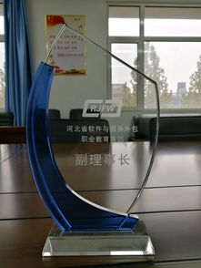 我院榮膺河北省軟件與服務外包職教集團副理事長單位 推動軟件開發(fā)人才培養(yǎng)新篇章