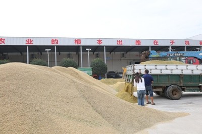 湖南省全面啟動早稻收購，推廣預(yù)約收購新模式