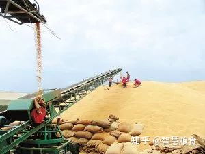鄉(xiāng)村私人糧食收購站 糧食流向與盈利模式探析